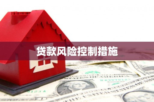 美浓贷款风险控制措施