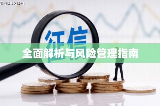 美浓全面解析与风险管理指南