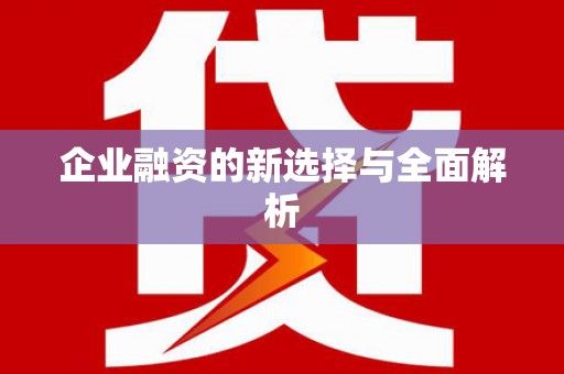 美浓企业融资的新选择与全面解析
