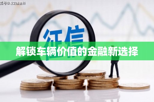 美浓解锁车辆价值的金融新选择