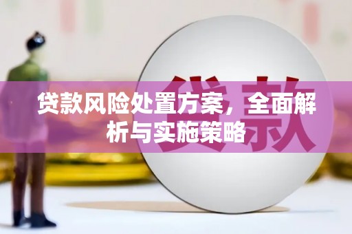 美浓贷款风险处置方案，全面解析与实施策略