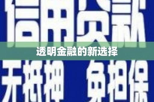 美浓透明金融的新选择