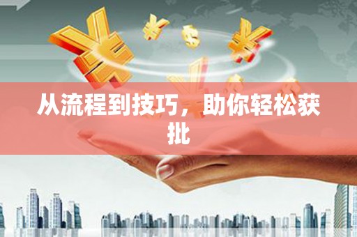 美浓从流程到技巧，助你轻松获批