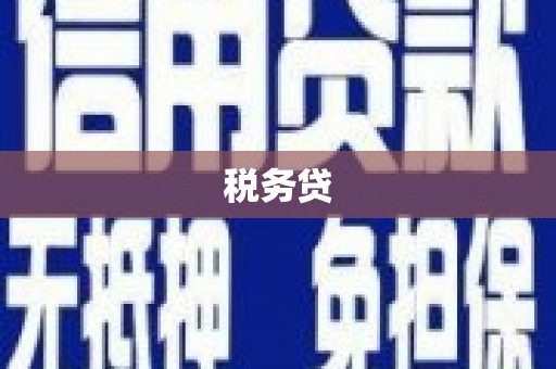 美浓税务贷