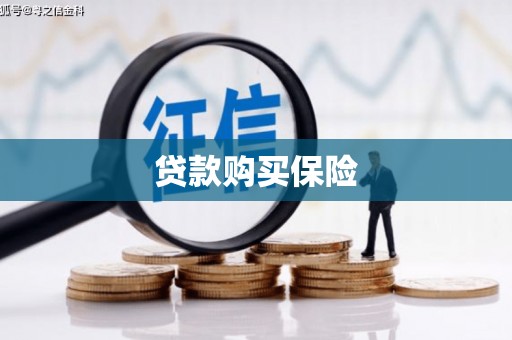 美浓贷款购买保险