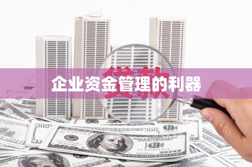 美浓企业资金管理的利器