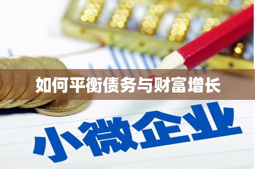 美浓如何平衡债务与财富增长