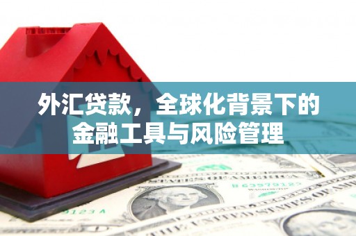 美浓外汇贷款，全球化背景下的金融工具与风险管理